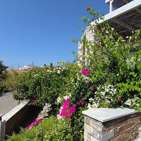 Aeolia Villas Karystos  Exterior photo