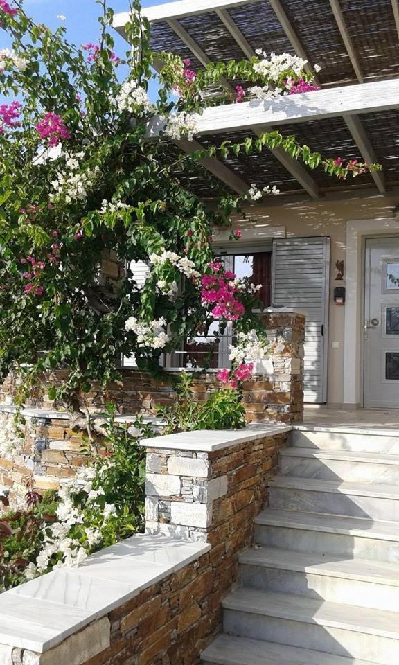 Aeolia Villas Karystos  Exterior photo