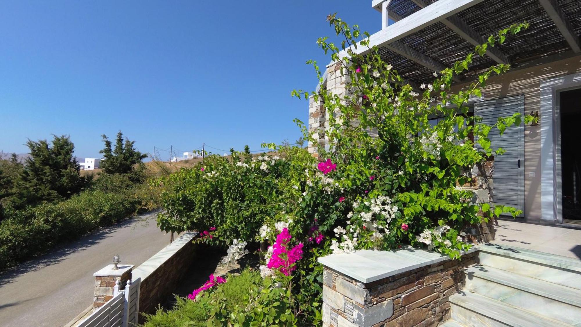 Aeolia Villas Karystos  Exterior photo